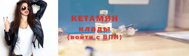 прущие грибы Приозерск
