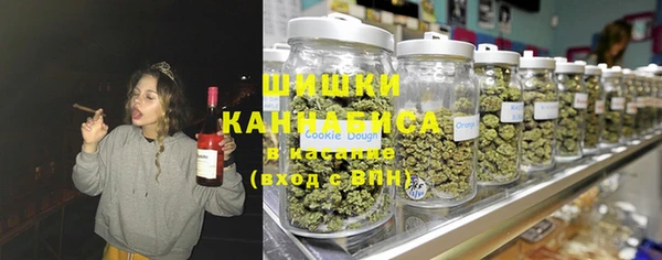прущие грибы Алзамай