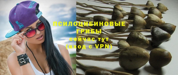 кокаин колумбия Алексин